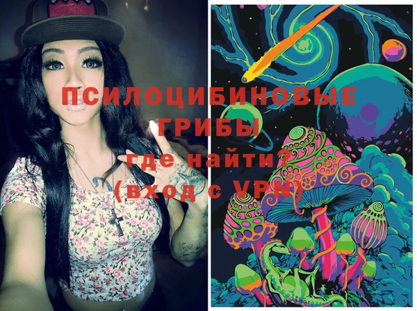 spice Абинск