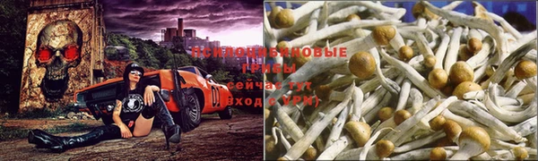 spice Абинск