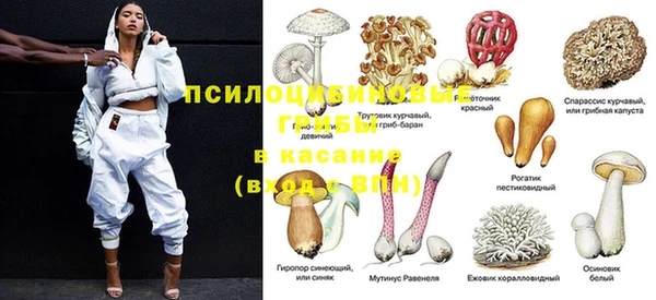 a pvp Абдулино
